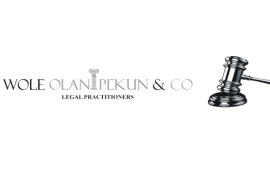 Wole Olanipekun & Co.: Platinum Sponsor
