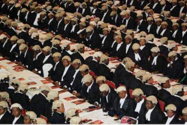 Nigerian-lawyers-1424x802